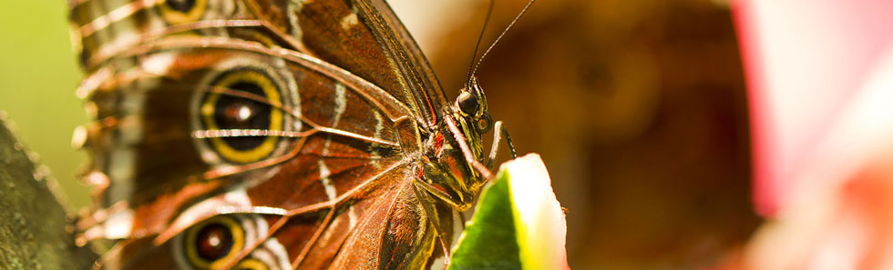 ddos攻击在哪能买到