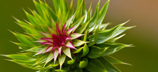 免费ddos平台攻击